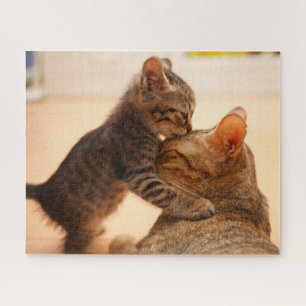 Niedliche Kleintiere   Tabby Kitten Kiss Puzzle