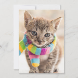 Niedliche Kleintiere Tabby Kitten Rainbow Scarf Dankeskarte