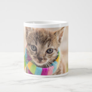 Niedliche Kleintiere Tabby Kitten Rainbow Scarf Jumbo-Tasse