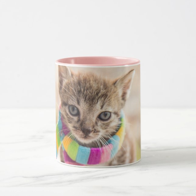 Niedliche Kleintiere | Tabby Kitten Rainbow Scarf Tasse (Zentrum)