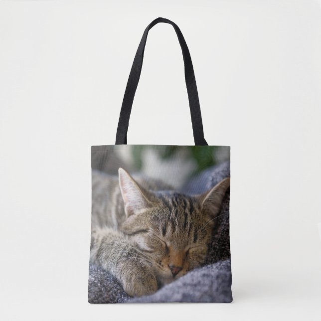 Niedliche Kleintiere | Tabby Kitten Schlafen (Vorderseite)