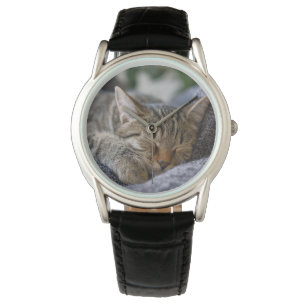 Niedliche Kleintiere Tabby Kitten Schlafen Armbanduhr