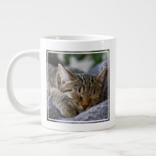 Niedliche Kleintiere Tabby Kitten Schlafen Jumbo-Tasse