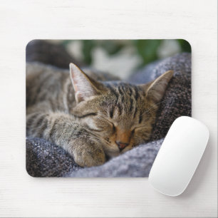 Niedliche Kleintiere Tabby Kitten Schlafen Mousepad
