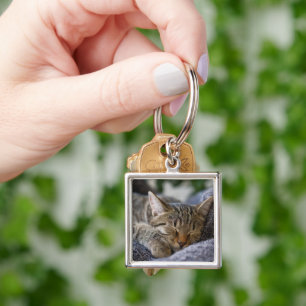 Niedliche Kleintiere   Tabby Kitten Schlafen Schlüsselanhänger