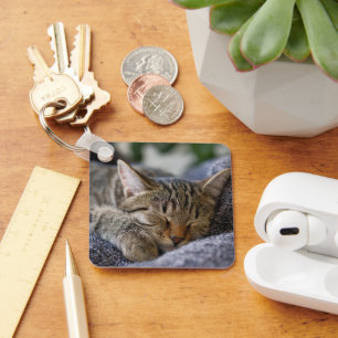 Niedliche Kleintiere Tabby Kitten Schlafen Schlüsselanhänger