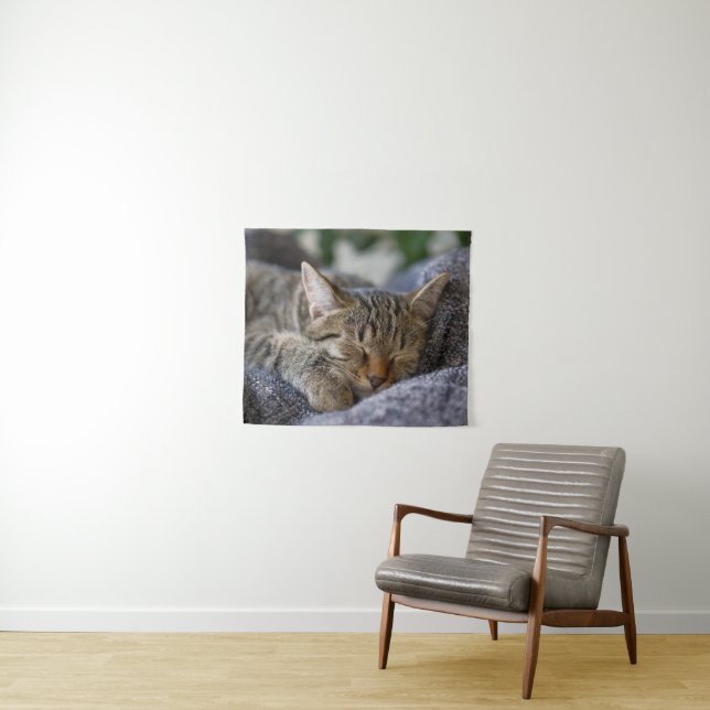 Niedliche Kleintiere | Tabby Kitten Schlafen Wandteppich (Beispiel (Horizontal))