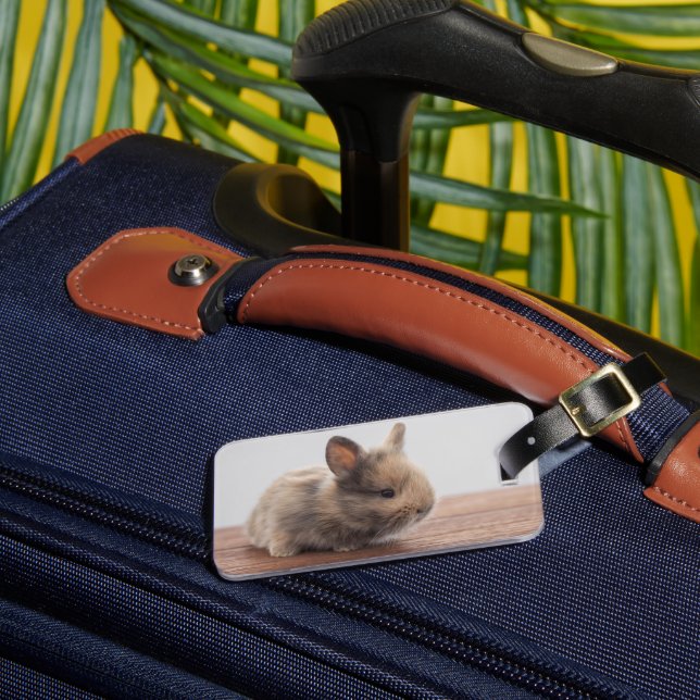 Niedliche Kleintiere | Tiny Baby Bunny Gepäckanhänger (Vorderseite Insitu 3)