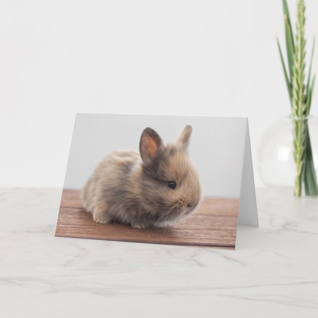 Niedliche Kleintiere | Tiny Baby Bunny Karte (Vorderseite)