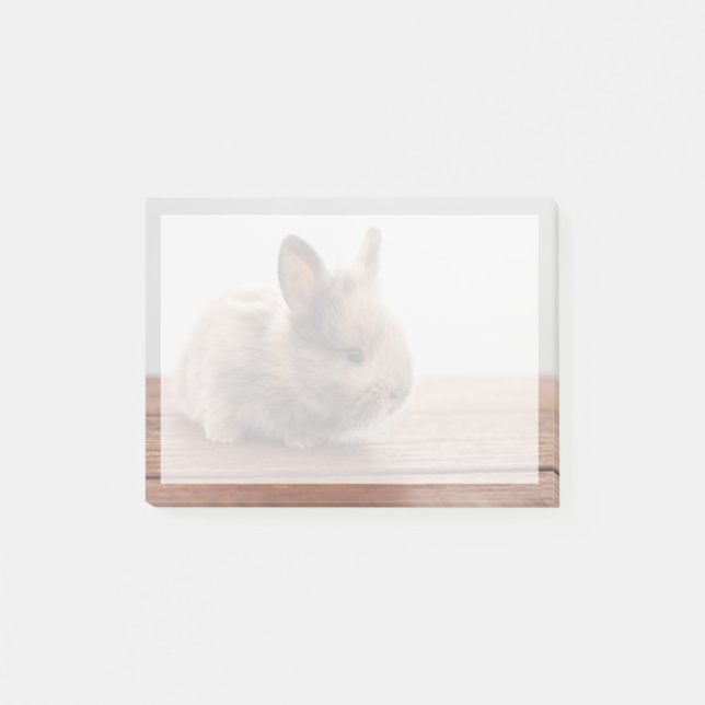Niedliche Kleintiere | Tiny Baby Bunny Post-it Klebezettel (Vorderseite)