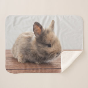 Niedliche Kleintiere   Tiny Baby Bunny Sherpadecke
