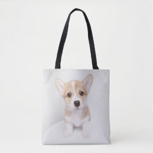 Niedliche Kleintiere Tiny Corgi