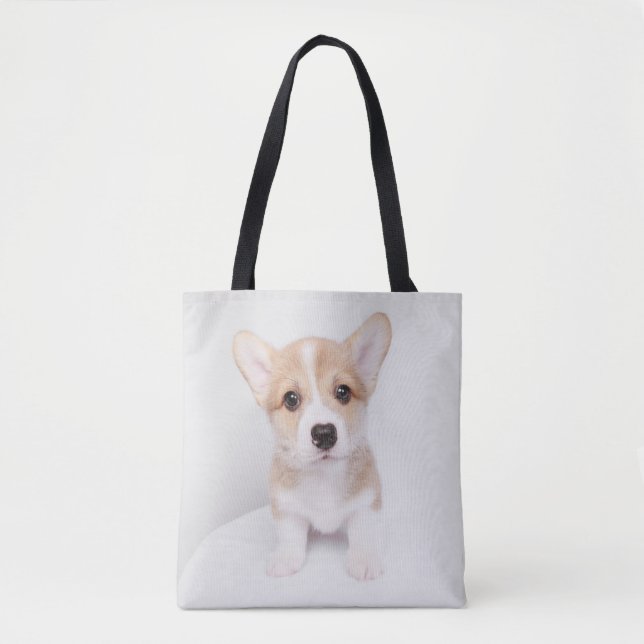 Niedliche Kleintiere | Tiny Corgi (Vorderseite)