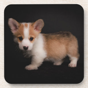 Niedliche Kleintiere Tiny Corgi Getränkeuntersetzer