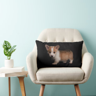 Niedliche Kleintiere Tiny Corgi Lendenkissen