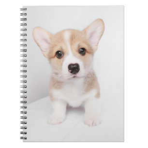 Niedliche Kleintiere Tiny Corgi Notizblock