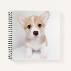 Niedliche Kleintiere Tiny Corgi Notizbuch
