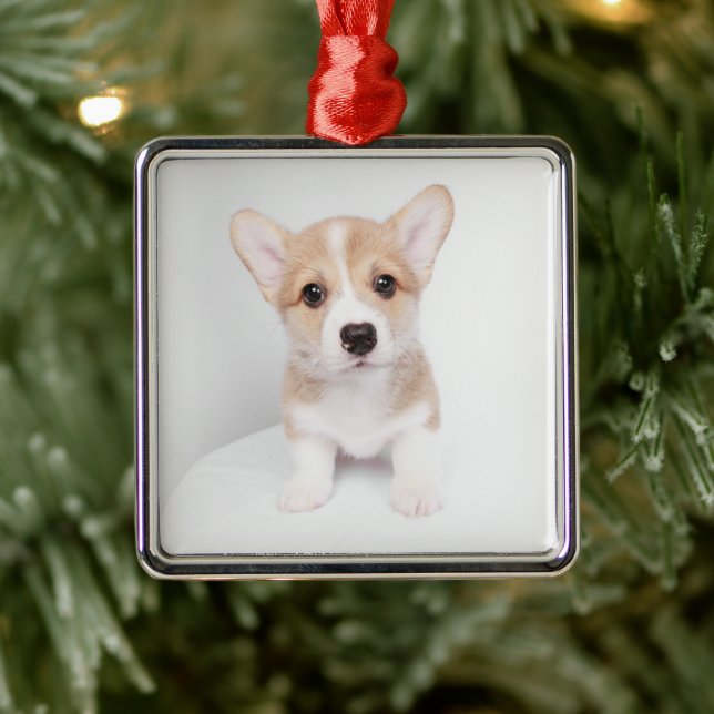 Niedliche Kleintiere | Tiny Corgi Ornament Aus Metall (Baum)