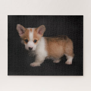 Niedliche Kleintiere Tiny Corgi Puzzle