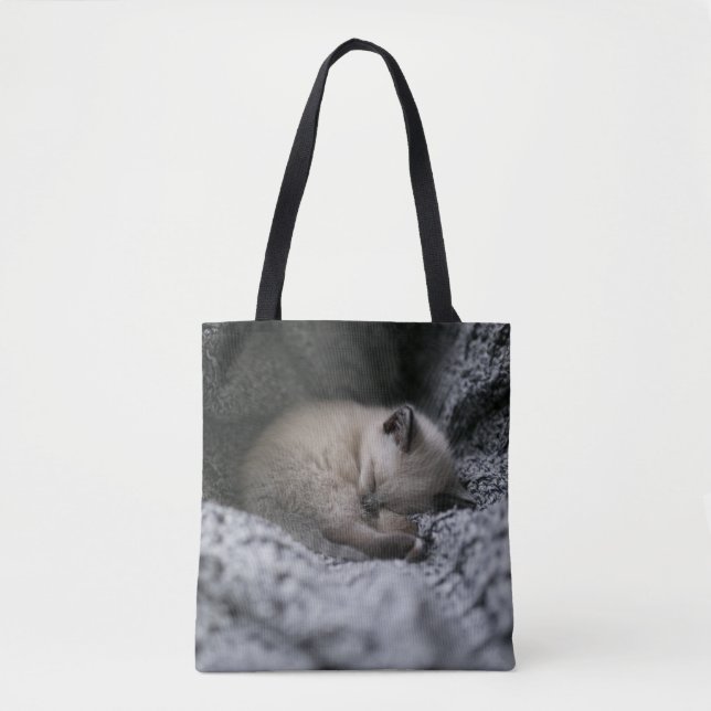 Niedliche Kleintiere | Tiny Kitten Schlafen (Vorderseite)