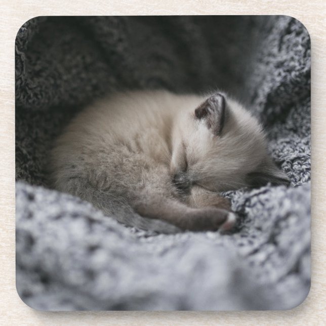 Niedliche Kleintiere | Tiny Kitten Schlafen Getränkeuntersetzer (Vorderseite)