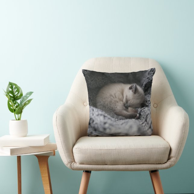 Niedliche Kleintiere | Tiny Kitten Schlafen Kissen (Stuhl )