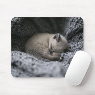 Niedliche Kleintiere   Tiny Kitten Schlafen Mousepad