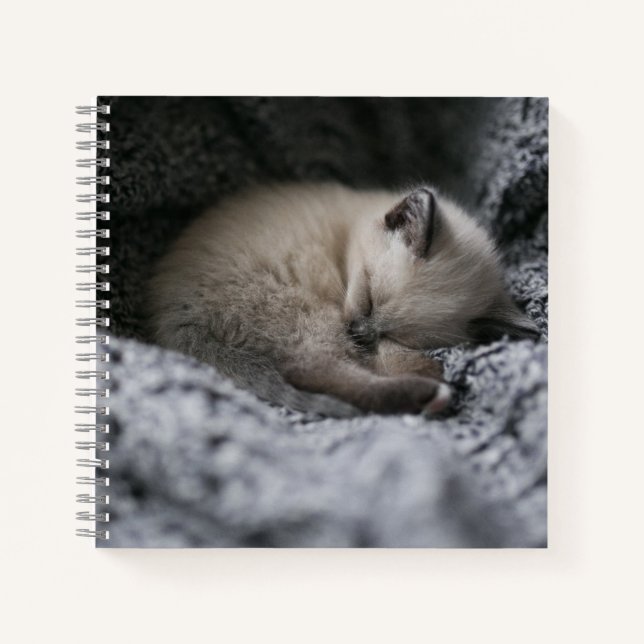 Niedliche Kleintiere | Tiny Kitten Schlafen Notizbuch (Vorderseite)