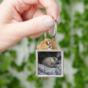 Niedliche Kleintiere Tiny Kitten Schlafen Schlüsselanhänger