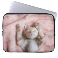 Niedliche Kleintiere | Tiny Orange Striped Kitten