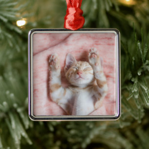 Niedliche Kleintiere   Tiny Orange Striped Kitten Ornament Aus Metall