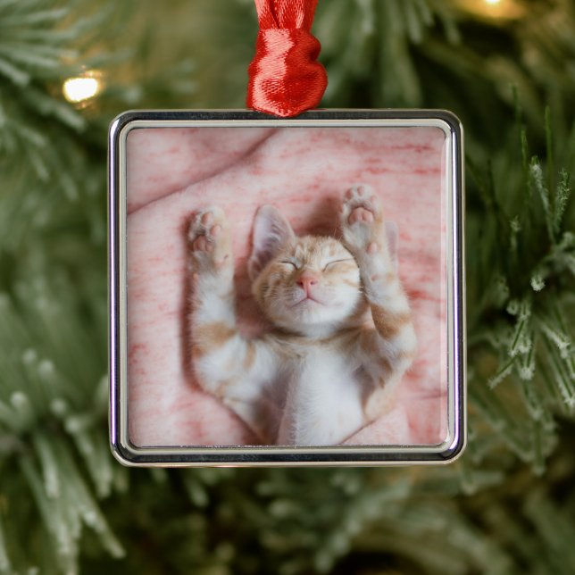 Niedliche Kleintiere | Tiny Orange Striped Kitten Ornament Aus Metall (Baum)