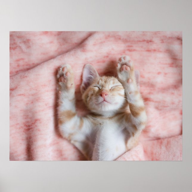 Niedliche Kleintiere | Tiny Orange Striped Kitten Poster (Vorne)