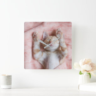 Niedliche Kleintiere Tiny Orange Striped Kitten Quadratische Wanduhr