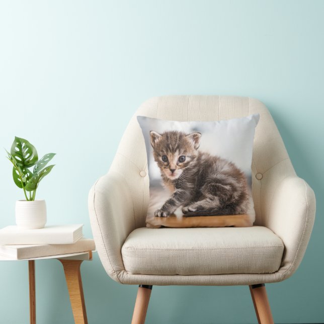 Niedliche Kleintiere | Tiny Tabby Kitten Kissen (Stuhl )