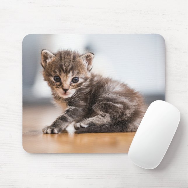 Niedliche Kleintiere | Tiny Tabby Kitten Mousepad (Mit Mouse)