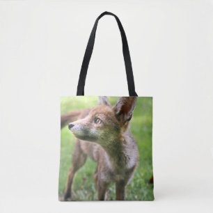 Niedliche Kleintiere Urban Fox