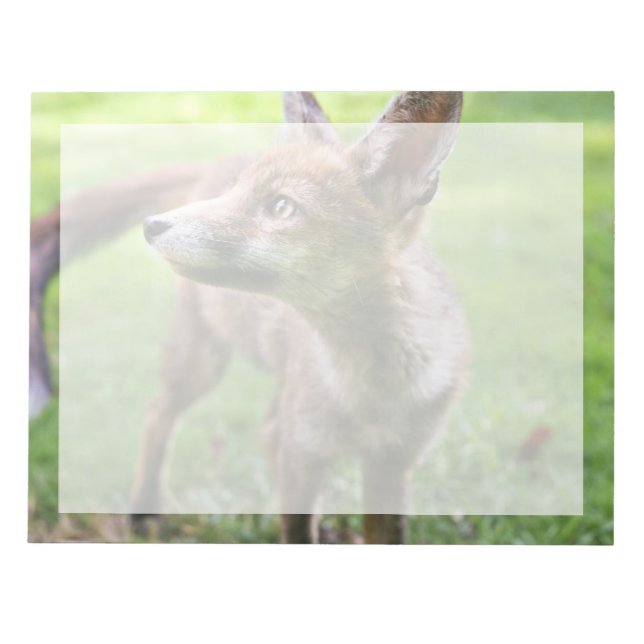 Niedliche Kleintiere | Urban Fox Notizblock (Vorderseite)