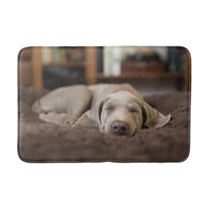 Niedliche Kleintiere Weimaraner Welpenschlafen Badematte