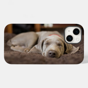 Niedliche Kleintiere   Weimaraner Welpenschlafen Case-Mate iPhone 14 Hülle