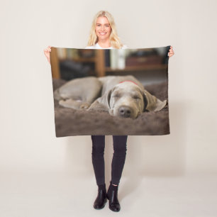 Niedliche Kleintiere Weimaraner Welpenschlafen Fleecedecke