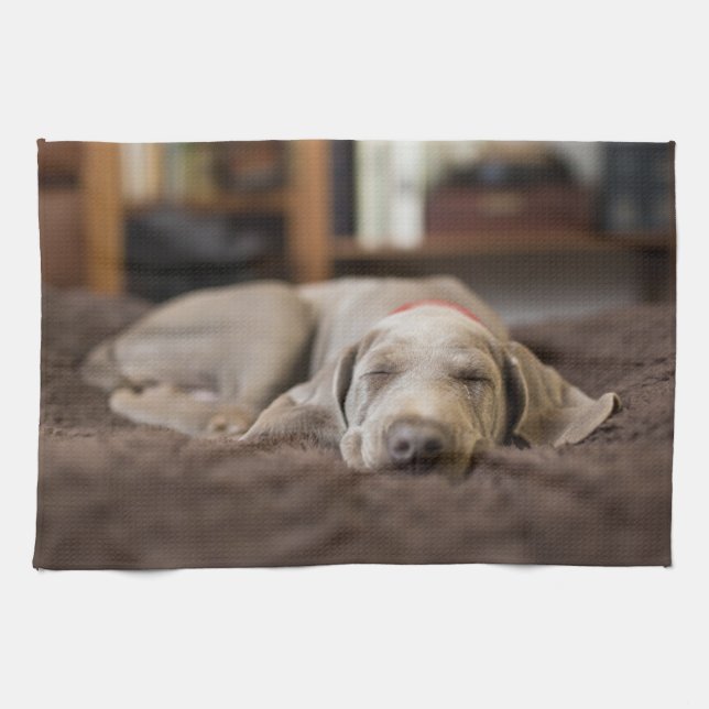Niedliche Kleintiere | Weimaraner Welpenschlafen Geschirrtuch (Horizontal)