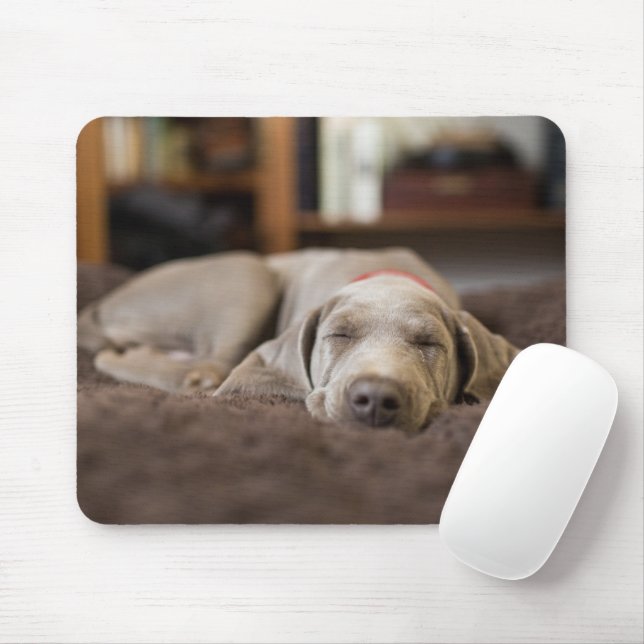 Niedliche Kleintiere | Weimaraner Welpenschlafen Mousepad (Mit Mouse)