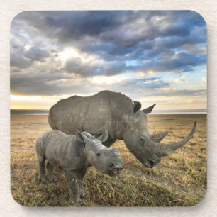 Niedliche Kleintiere Weißer Rhino und Kalb Getränkeuntersetzer