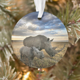 Niedliche Kleintiere   Weißer Rhino und Kalb Ornament