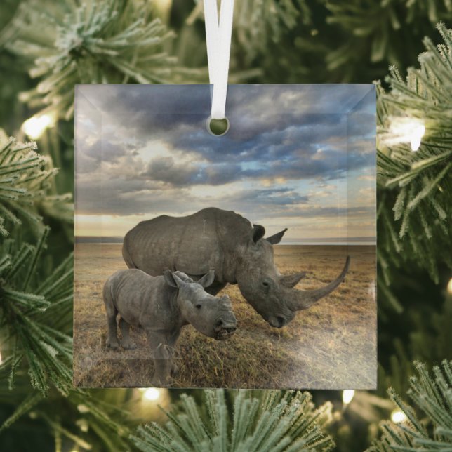Niedliche Kleintiere | Weißer Rhino und Kalb Ornament Aus Glas (Insitu)