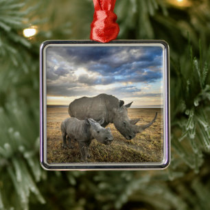 Niedliche Kleintiere   Weißer Rhino und Kalb Ornament Aus Metall