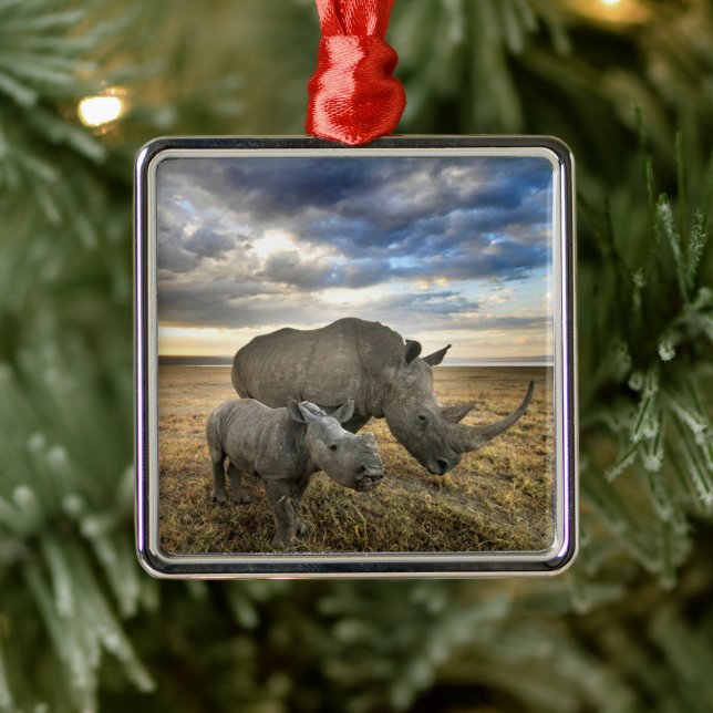 Niedliche Kleintiere | Weißer Rhino und Kalb Ornament Aus Metall (Baum)