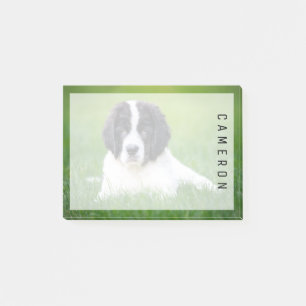 Niedliche Kleintiere   Welpe Post-it Klebezettel