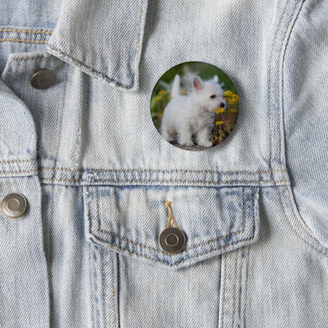 Niedliche Kleintiere | West Highland White Terrier Button (Beispiel)